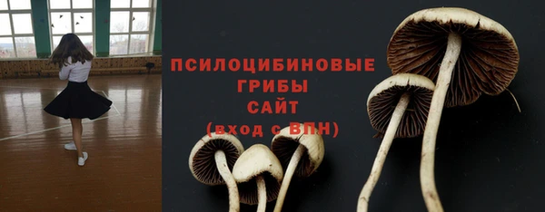 первитин Мегион