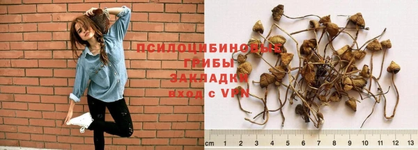 a pvp Медногорск
