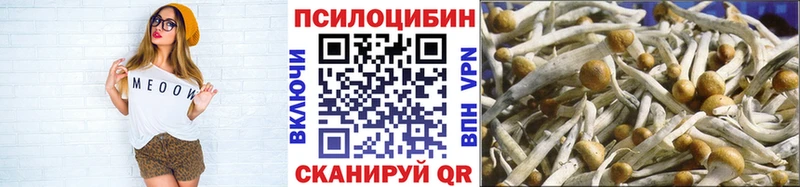 Купить где  Кириши  Псилоцибиновые грибы Magic Shrooms 